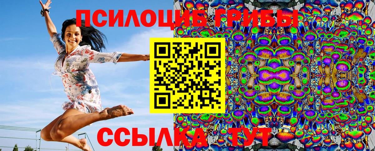 Галлюциногенные грибы Psilocybe  Вход с VPN  Курганинск 