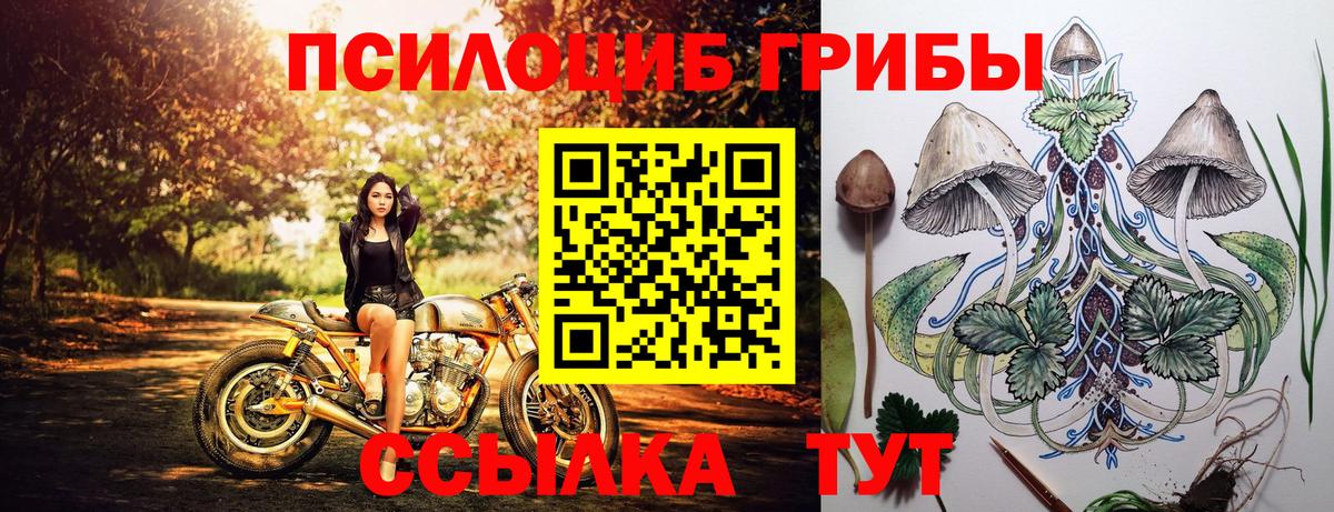 Галлюциногенные грибы мухоморы Курганинск